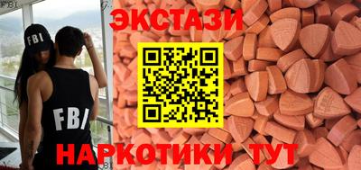 стаф Владимир