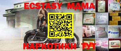 стаф Владимир