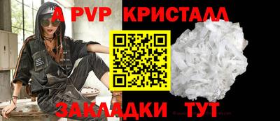 стаф Владимир