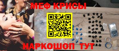 стаф Владимир
