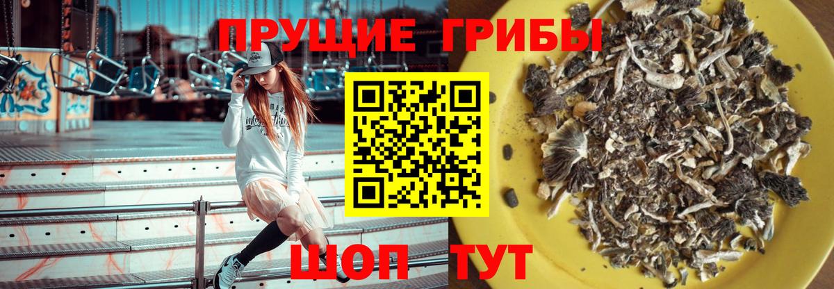 Псилоцибиновые грибы Psilocybe  Вход с VPN  Гай  Псилоцибиновые грибы Magic Shrooms 